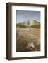 Midway Geyser Basin Thermal Activity from the Fairy Creek Trail, Yellowstone National Park, Wyoming-Eleanor Scriven-Framed Photographic Print