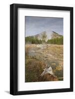 Midway Geyser Basin Thermal Activity from the Fairy Creek Trail, Yellowstone National Park, Wyoming-Eleanor Scriven-Framed Photographic Print