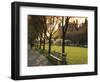 Midway Plaisance at University of Chicago, Chicago, Illinois, USA-Alan Klehr-Framed Photographic Print