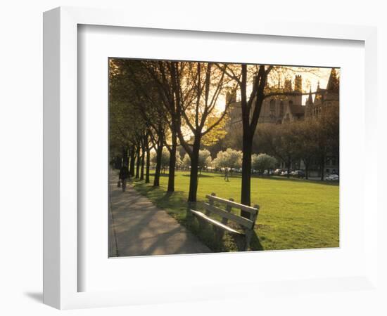 Midway Plaisance at University of Chicago, Chicago, Illinois, USA-Alan Klehr-Framed Photographic Print