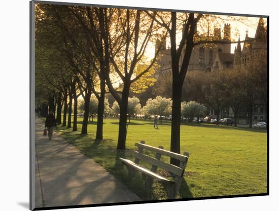 Midway Plaisance at University of Chicago, Chicago, Illinois, USA-Alan Klehr-Mounted Photographic Print