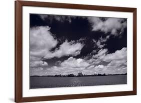 Midwest Corn Field BW-Steve Gadomski-Framed Photographic Print