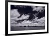 Midwest Corn Field BW-Steve Gadomski-Framed Photographic Print