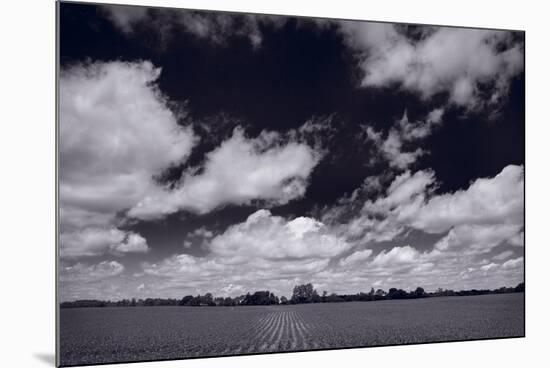 Midwest Corn Field BW-Steve Gadomski-Mounted Photographic Print