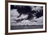 Midwest Corn Field BW-Steve Gadomski-Framed Photographic Print