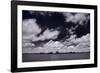 Midwest Corn Field BW-Steve Gadomski-Framed Photographic Print