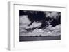 Midwest Corn Field BW-Steve Gadomski-Framed Photographic Print