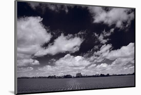 Midwest Corn Field BW-Steve Gadomski-Mounted Photographic Print