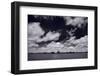 Midwest Corn Field BW-Steve Gadomski-Framed Premium Photographic Print