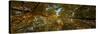 Midwest Forest Canopy-Steve Gadomski-Stretched Canvas