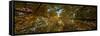 Midwest Forest Canopy-Steve Gadomski-Framed Stretched Canvas