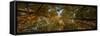 Midwest Forest Canopy-Steve Gadomski-Framed Stretched Canvas