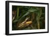 Midwest Harvest-Steve Gadomski-Framed Photographic Print