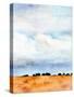 Midwest Sky II-Jennifer Parker-Stretched Canvas