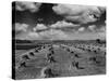 Midwestern Wheat Field at Harvest Time-Bettmann-Stretched Canvas