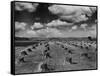 Midwestern Wheat Field at Harvest Time-Bettmann-Framed Stretched Canvas