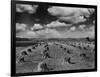 Midwestern Wheat Field at Harvest Time-Bettmann-Framed Photographic Print