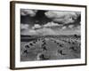 Midwestern Wheat Field at Harvest Time-Bettmann-Framed Photographic Print