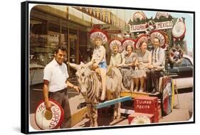 Midwesterners in Zebra Cart, Tijuana, Mexico-null-Framed Stretched Canvas