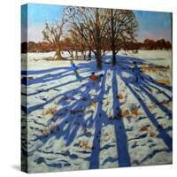 Midwinter, Calke Abbey, Derbyshire-Andrew Macara-Stretched Canvas