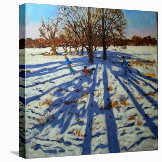 Midwinter, Calke Abbey, Derbyshire-Andrew Macara-Stretched Canvas