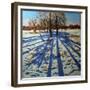 Midwinter, Calke Abbey, Derbyshire-Andrew Macara-Framed Giclee Print