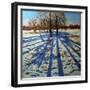 Midwinter, Calke Abbey, Derbyshire-Andrew Macara-Framed Giclee Print