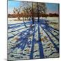 Midwinter, Calke Abbey, Derbyshire-Andrew Macara-Mounted Giclee Print