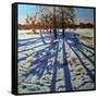 Midwinter, Calke Abbey, Derbyshire-Andrew Macara-Framed Stretched Canvas