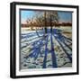 Midwinter, Calke Abbey, Derbyshire-Andrew Macara-Framed Giclee Print