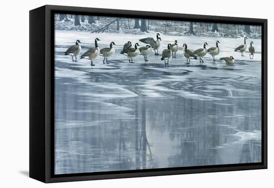 Midwinter Thaw-Wilhelm Goebel-Framed Stretched Canvas