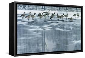 Midwinter Thaw-Wilhelm Goebel-Framed Stretched Canvas