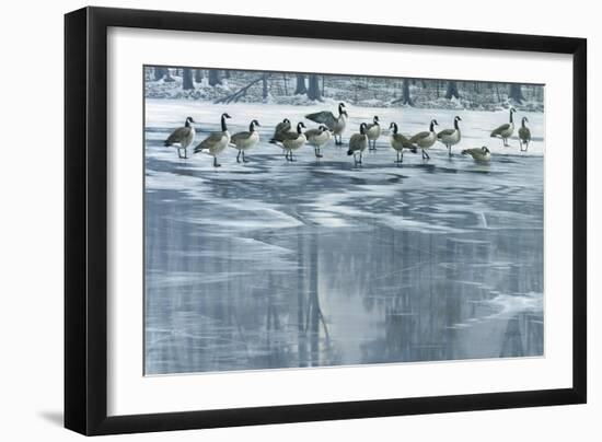 Midwinter Thaw-Wilhelm Goebel-Framed Giclee Print