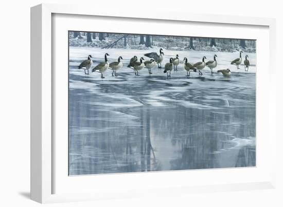 Midwinter Thaw-Wilhelm Goebel-Framed Giclee Print