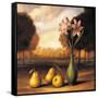 Canvas Black