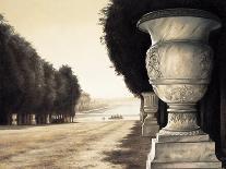 Apple Landscape-Migdalia Arellano-Stretched Canvas