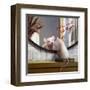 Mighty Mouse-Lucia Heffernan-Framed Art Print