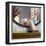 Mighty Mouse-Lucia Heffernan-Framed Art Print