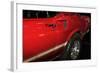 Mighty Mustang I-Alan Hausenflock-Framed Photographic Print