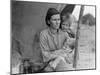 Migrant agricultural worker's family, 1936-Dorothea Lange-Mounted Photographic Print