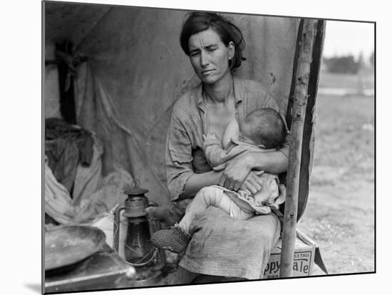 Migrant farm worker's family in Nipomo California, 1936-Dorothea Lange-Mounted Photographic Print