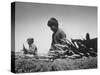 Migrant Farm Workers Picking Carrots-null-Stretched Canvas