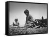 Migrant Farm Workers Picking Carrots-null-Framed Stretched Canvas