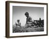 Migrant Farm Workers Picking Carrots-null-Framed Photographic Print