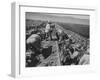 Migrant Farm Workers Picking Celery-null-Framed Photographic Print