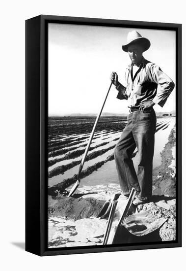 Migrant Irrigator-Dorothea Lange-Framed Stretched Canvas