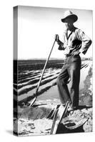 Migrant Irrigator-Dorothea Lange-Stretched Canvas