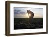 Migrant Laborer Weeds Melon Field in Somerton-Jeff Topping-Framed Photographic Print