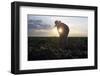 Migrant Laborer Weeds Melon Field in Somerton-Jeff Topping-Framed Photographic Print