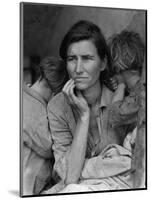 "Migrant Mother" Pea Picker in California Photograph - Nipomo, CA-Lantern Press-Mounted Art Print